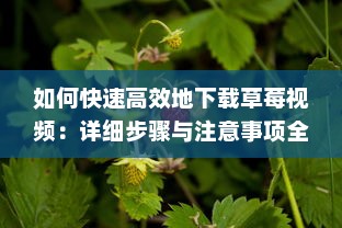 如何快速高效地下载草莓视频：详细步骤与注意事项全方位解析 v6.3.1下载